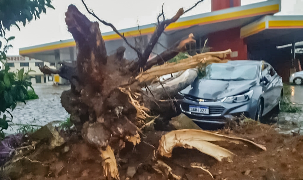 Vendaval Derruba Carreta Na Serra Catarinense