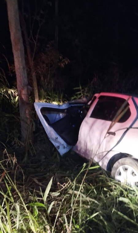 Carro sai da pista colide em árvore e duas pessoas ficam feridas em