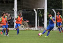 Avaí quer conquistar o Catarinense depois de seis anos de jejum | Foto: André Palma Ribeiro/Avaí
