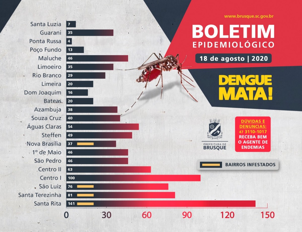 Brusque registra mais de 40 novos focos do mosquito da dengue; confira