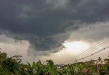temporais brusque
