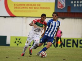 Brusque Chapecoense relacionados catarinense