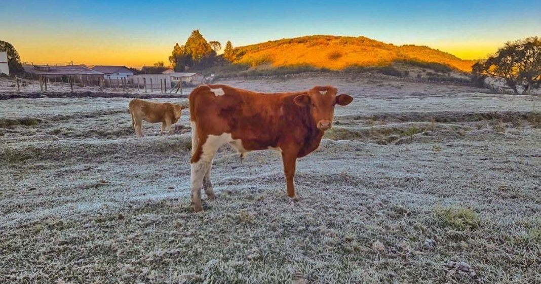 frio em são joaquim