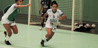 Barateiro Futsal NFFB Bella Laisa Brusque