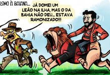 Vitória Brusque Sampaio Corrêa Série B Brasileiro