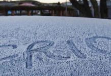 frio