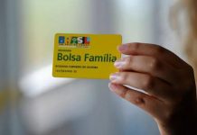 bolsa família Brusque