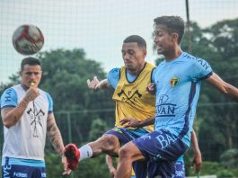 Brusque Botafogo Série B jogo rodada escalações lesionados desfalques pendurados suspensos