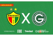 Brusque x Goiás tempo real lance a lance minuto a minuto jogo Série B