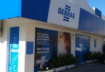 sebrae