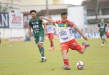 Edu Brusque Guarani gols Série B