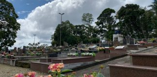cemitério parque da saudade de brusque processo administrativo