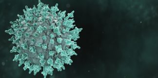 Botuverá registra 11º óbito associado ao coronavírus