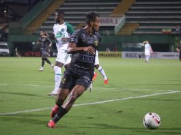 Chapecoense Brusque catarinense placar resultado jogo ganhou perdeu