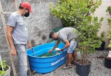 Prefeitura realiza ações de combate ao Aedes Aegypti nos bairros de Brusque