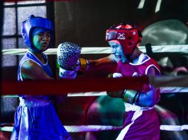 meninos do boxe torneio interno