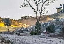 frio