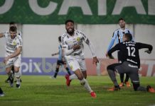 Brusque Grêmio Série B jogo resultado placar