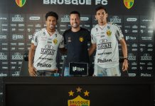 Fernando Nathan Fernandinho Paulo Baya Brusque Série B reforços atacantes