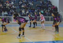 Abel Moda Vôlei catarinense brusque bluvôlei