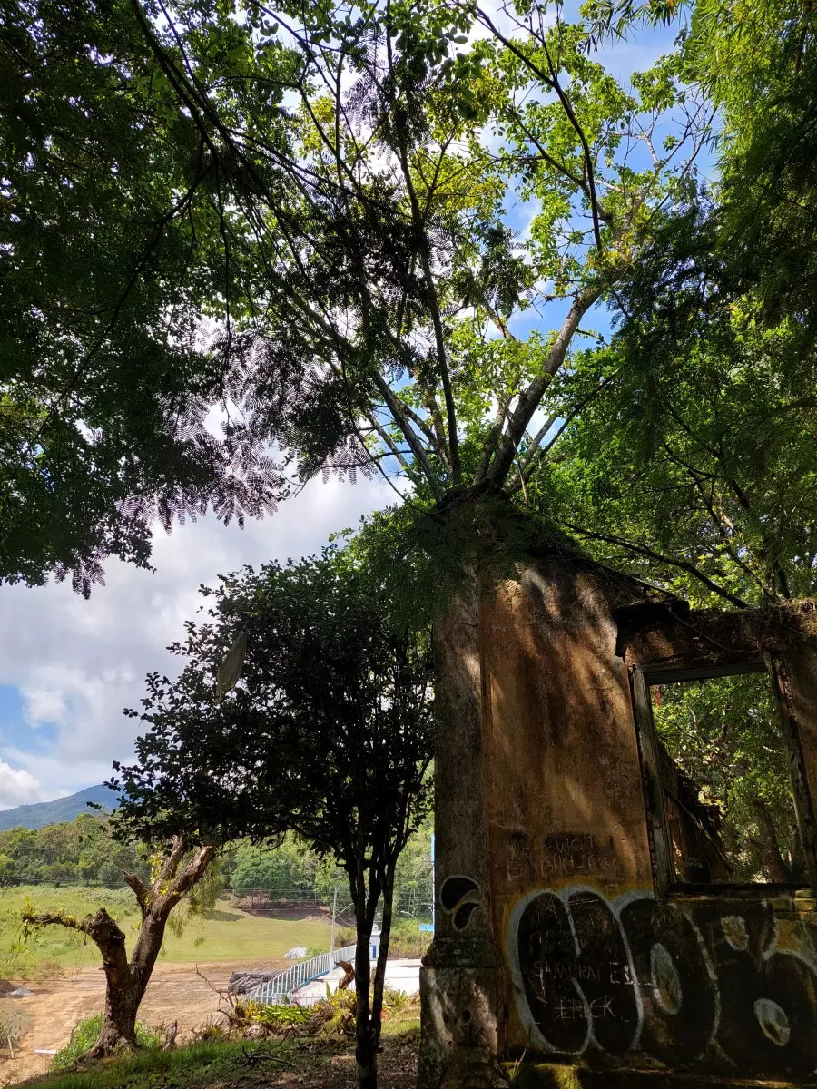 Fotos Ru Nas Exp Em A Hist Ria Da Fam Lia Mafra De Brusque