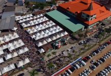 Freundenfest e Tribaile: confira oito coisas para fazer em Brusque e região neste fim de semana