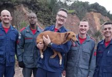 Saiba quantos animais foram resgatados nos últimos pelo Corpo de Bombeiros em Brusque