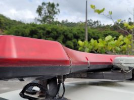 Mulher é detida após filho adolescente bater carro em poste em Guabiruba