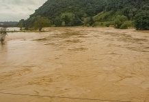 el niño