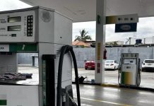 gasolina