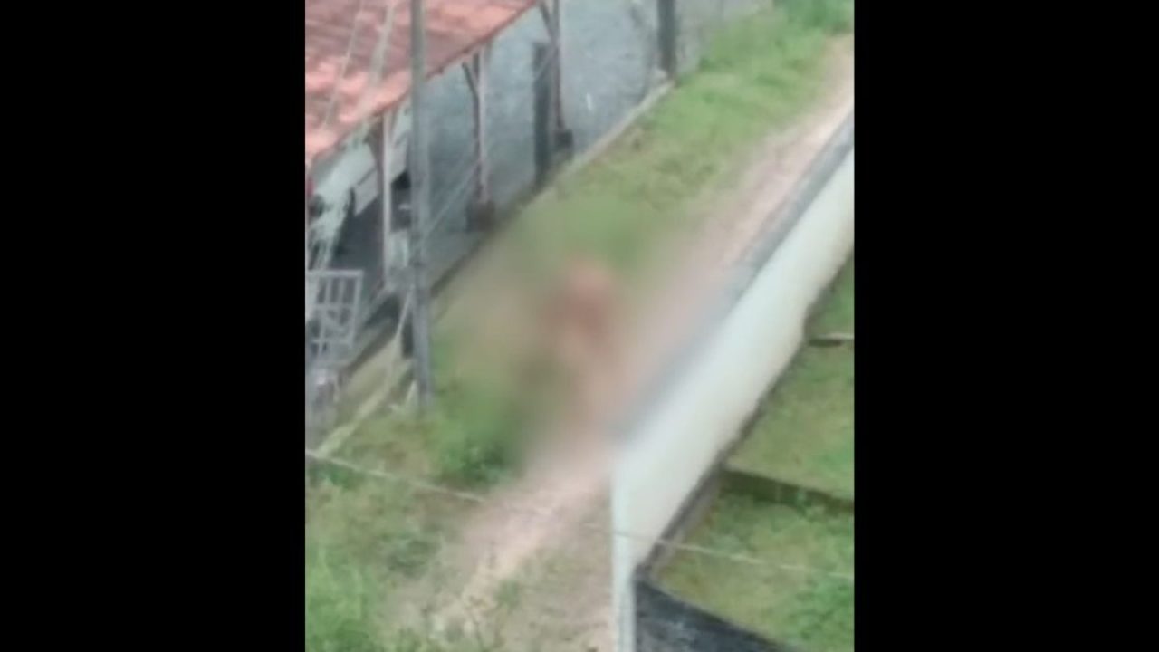 VÍDEO - Homem nu é flagrado andando em rua do Ponta Russa, em Brusque