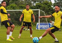 Brusque contratos jogadores duração