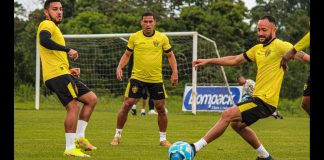 Brusque contratos jogadores duração