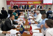 Campeonato Catarinense 2024 fórmula de disputa data início