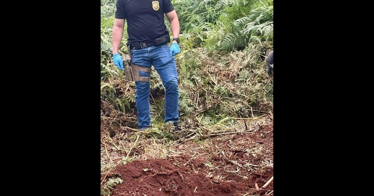 Corpo De Adolescente é Encontrado Enterrado Em área De Mata No Oeste Catarinense 6372