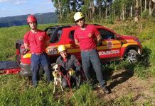 cão