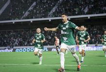 Raphael Silvestre Guarani FC Série B