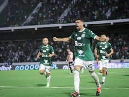 Raphael Silvestre Guarani FC Série B