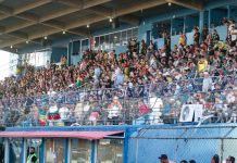 torcida Brusque sócio-torcedor plano