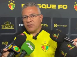 Luizinho Vieira Brusque Avaí Série B