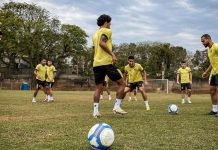 Brusque Novorizontino Série B campeonato brasileiro