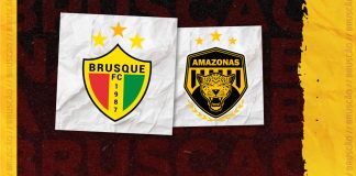 Brusque x Amazonas tempo real ao vivo minuto a minuto lance a lance Série B jogo