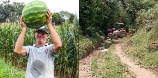 atropelado por trator