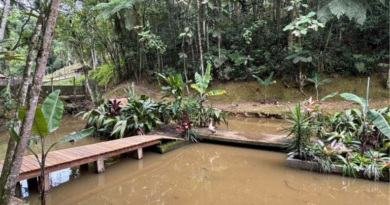 zoobotânico Brusque ilha