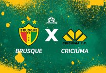 Brusque x Criciúma Campeonato Catarinense ao vivo tempo real