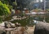 Parque Leopoldo Moritz