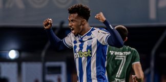 Roberto Brusque Avaí