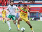 Brusque Guarani Série C Augusto Bauer
