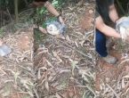 Cão encontrado dentro de sacola