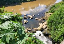 Rio Itajaí-Mirim